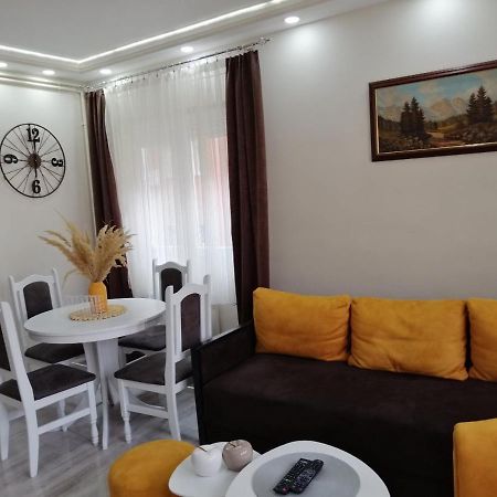 Apartman Zi-Zo Apartment Vrsac Bagian luar foto