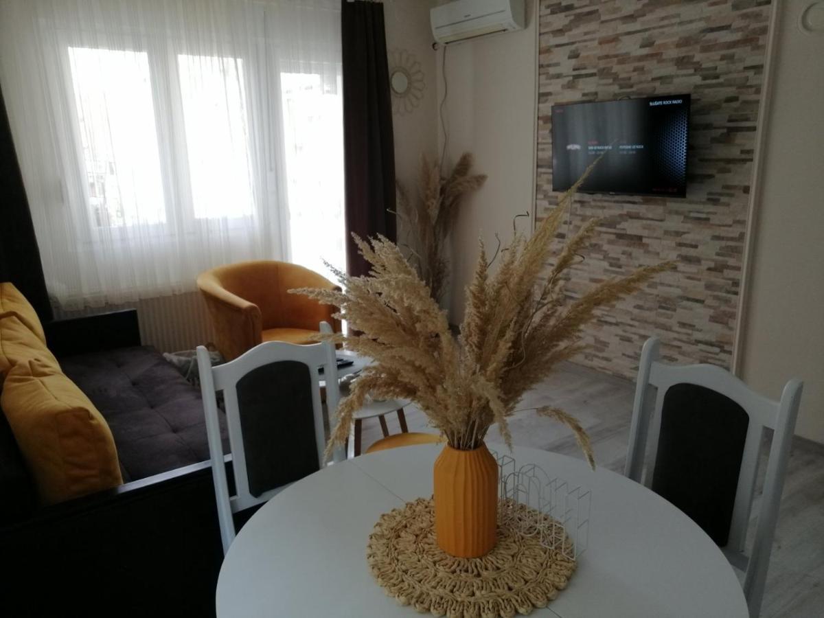 Apartman Zi-Zo Apartment Vrsac Bagian luar foto