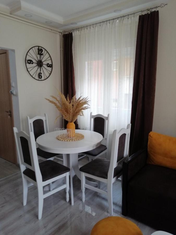 Apartman Zi-Zo Apartment Vrsac Bagian luar foto