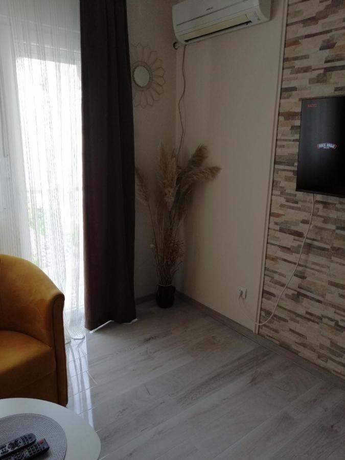 Apartman Zi-Zo Apartment Vrsac Bagian luar foto