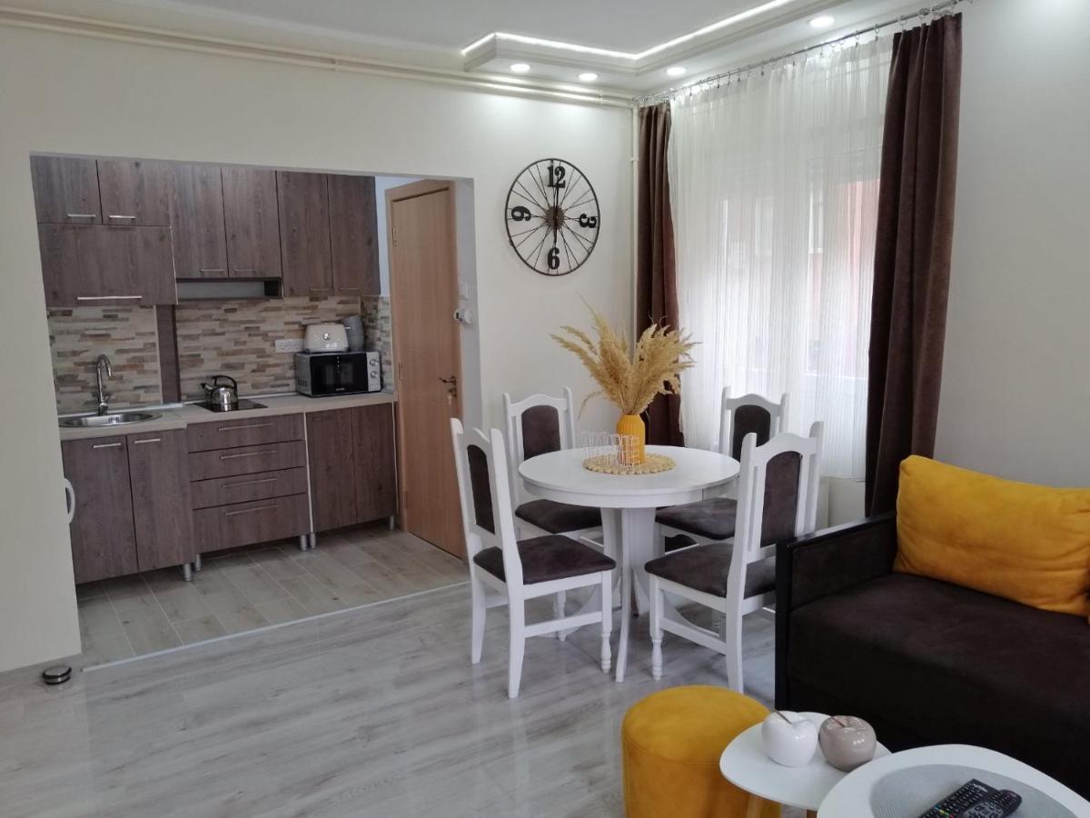 Apartman Zi-Zo Apartment Vrsac Bagian luar foto